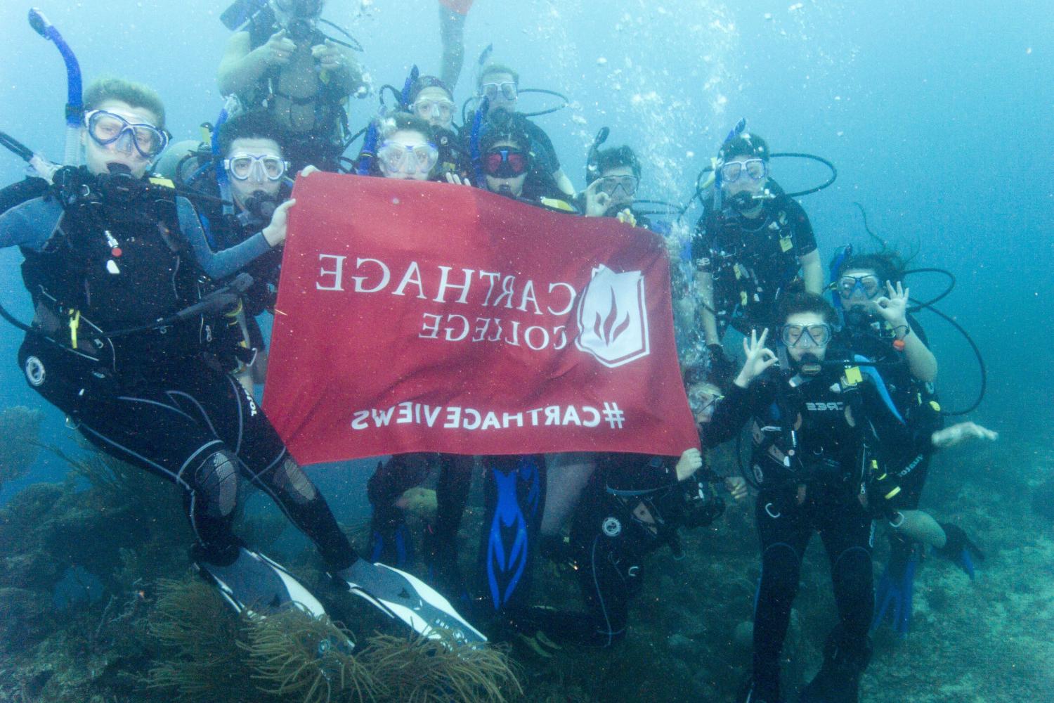 学生们手持<a href='http://jrwn.ngskmc-eis.net'>博彩网址大全</a>旗帜，在j学期洪都拉斯游学之旅中潜水.